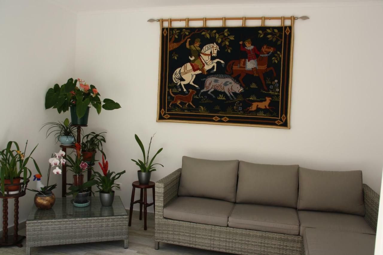 ヴィラ・レアル・デ・サント・アントニオHouse Of Orchids With Patioアパートメント エクステリア 写真